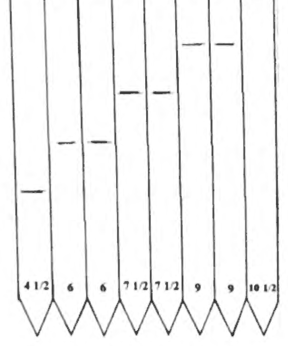 A sheet of eight pointed strips, each with a dash marked at its required length and a measurement written at the point
