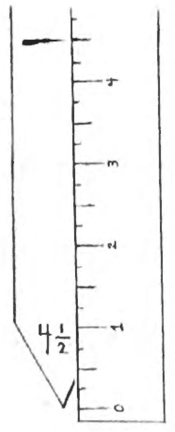 A ruler laid along a strip, lined up at zero from the pointed end, with a dash marking the 4 and a half inch length