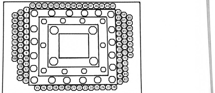 All one hundred numbered pennies traced, with the extras filling the right and left margins