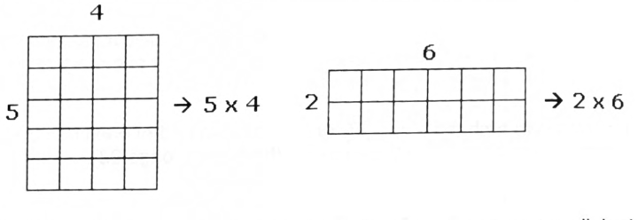 A 5 by 4 array labeled 5 on the side and 4 on the top reading as 5 times 4, beside a 2 by 6 array labeled 2 and 6 reading as 2 times 6