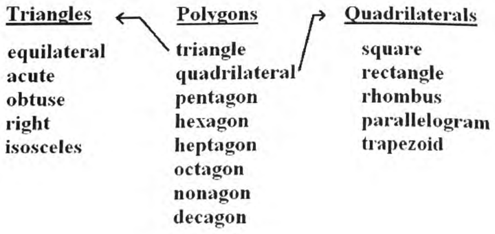 A polygon list branching with arrows into triangle types on the left and quadrilateral types on the right
