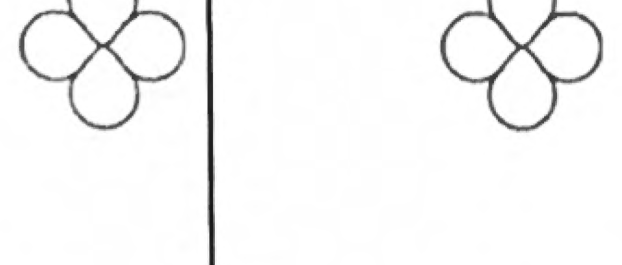 Two identical three-petal shapes on either side of a vertical line, looking matched but with no true line of symmetry